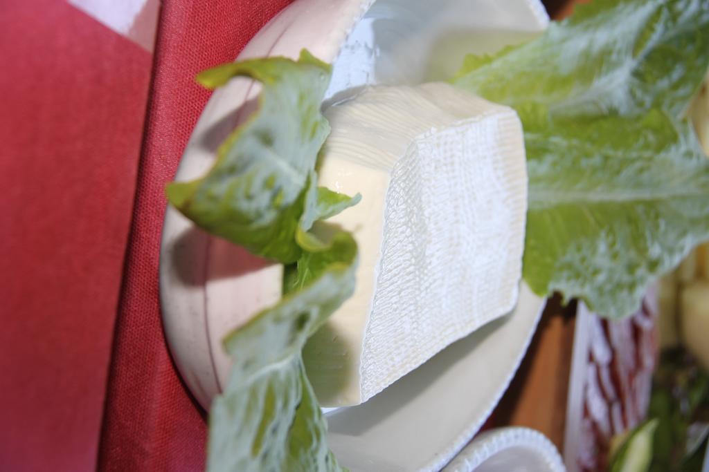 קאטוליקה Hotel Garden מראה חיצוני תמונה
